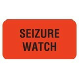 Seizure Watch